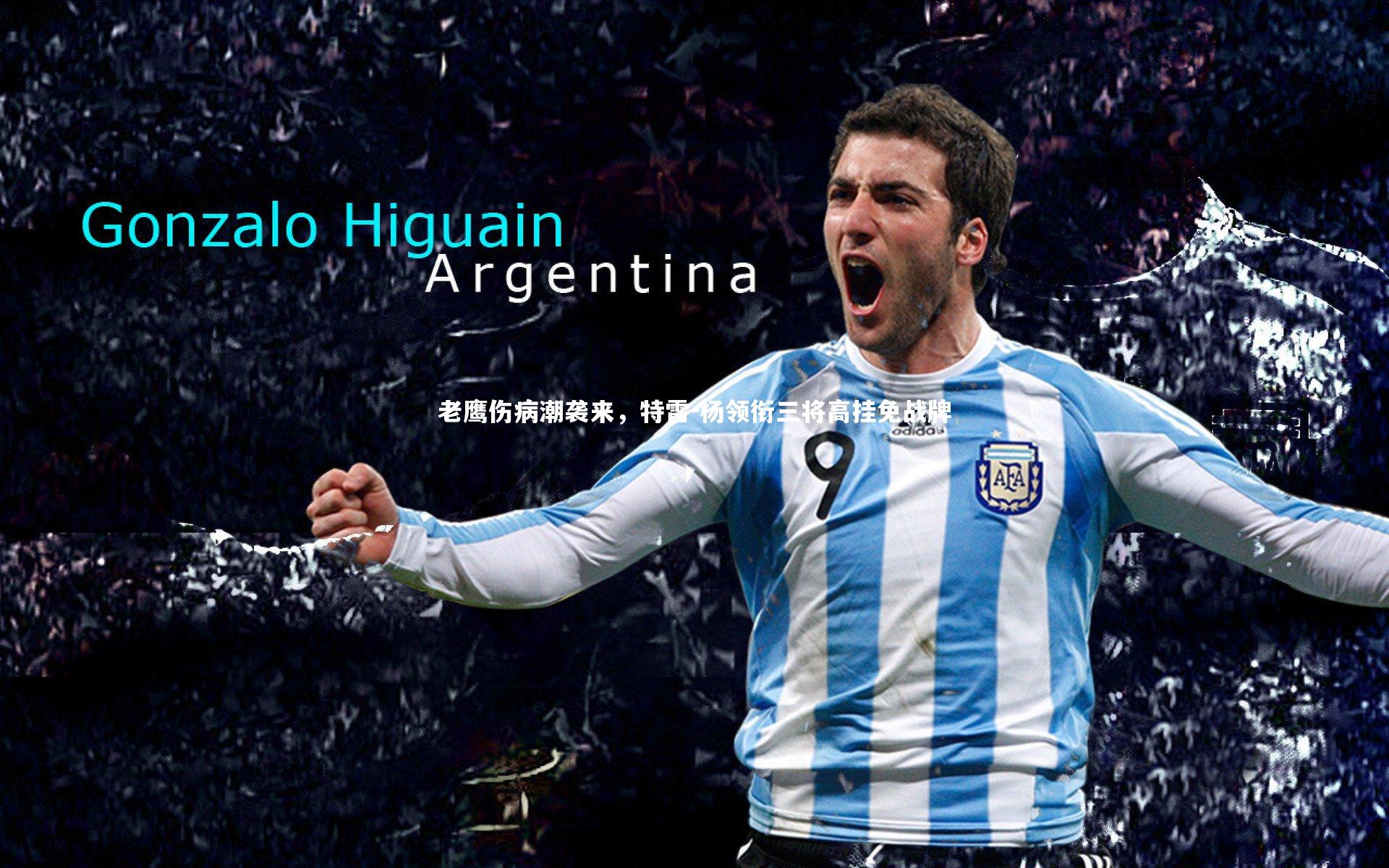 老鹰伤病潮袭来，特雷-杨领衔三将高挂免战牌